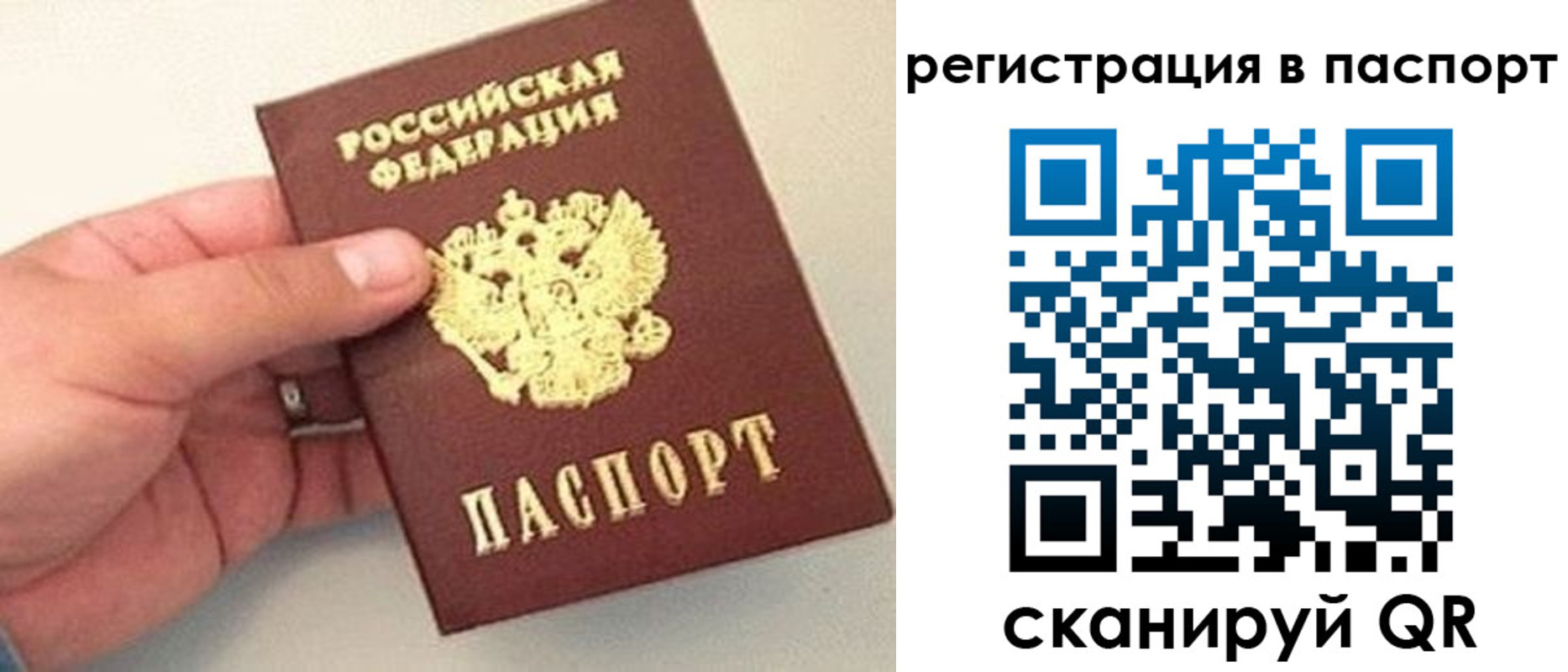 прописка законно в Коломне
